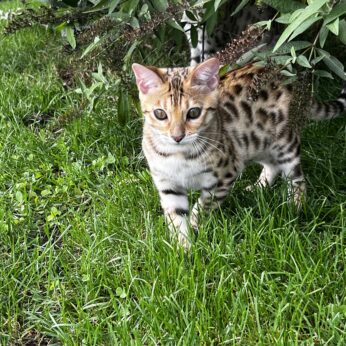 dr.martin.kueng@bluewin.ch